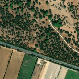 Satellite imagery of survey_point, DZ