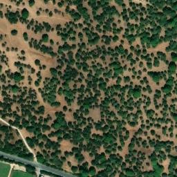 Satellite imagery of survey_point, DZ