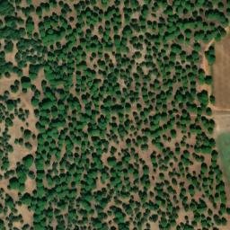 Satellite imagery of survey_point, DZ
