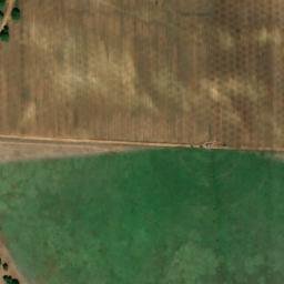 Satellite imagery of survey_point, DZ