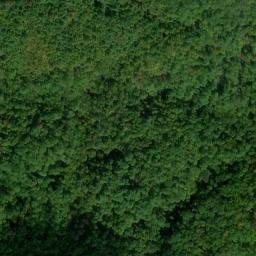 Satellite imagery of Whiteoak Ridge, US