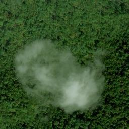 Satellite imagery of Fork Ridge, US