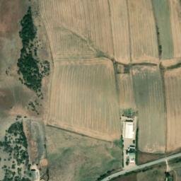 Satellite imagery of survey_point, DZ