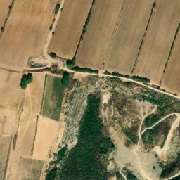 Satellite imagery of survey_point, DZ