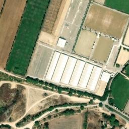 Satellite imagery of survey_point, DZ
