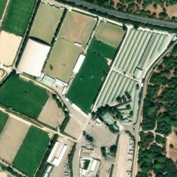 Satellite imagery of survey_point, DZ