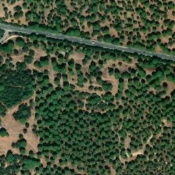 Satellite imagery of survey_point, DZ