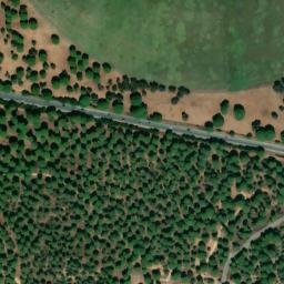Satellite imagery of survey_point, DZ