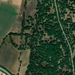Satellite imagery of survey_point, DZ