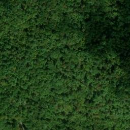 Satellite imagery of Fork Ridge, US