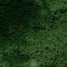 Satellite imagery of Fork Ridge, US