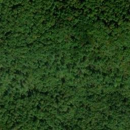Satellite imagery of Fork Ridge, US
