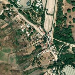 Satellite imagery of survey_point, DZ