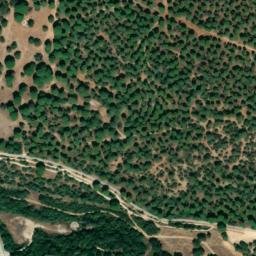 Satellite imagery of survey_point, DZ