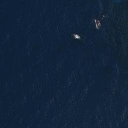 Satellite imagery of survey_point, JP