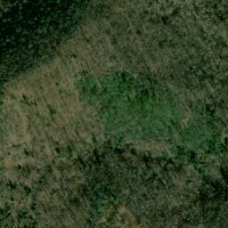 Satellite imagery of Hurricane Ridge, US