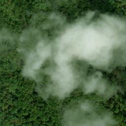 Satellite imagery of Fork Ridge, US