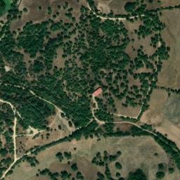 Satellite imagery of survey_point, DZ