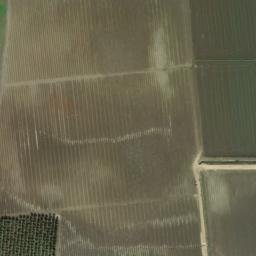 Satellite imagery of survey_point, DZ