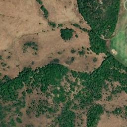 Satellite imagery of survey_point, DZ