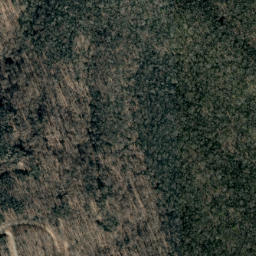 Satellite imagery of Big Black Pine Rough, US
