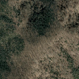 Satellite imagery of Little Black Pine Rough, US