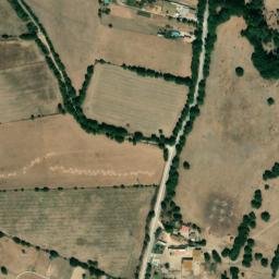 Satellite imagery of survey_point, DZ