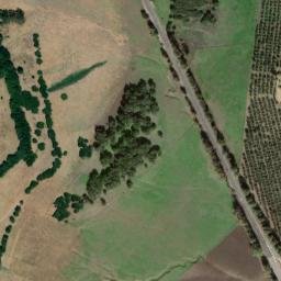 Satellite imagery of survey_point, DZ