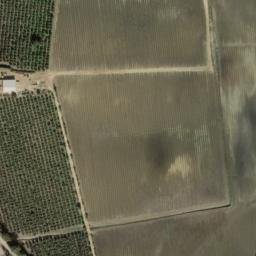 Satellite imagery of survey_point, DZ