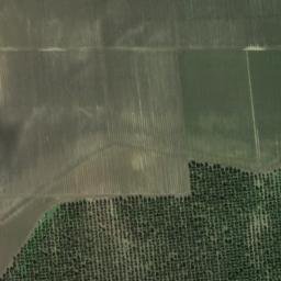 Satellite imagery of survey_point, DZ