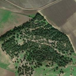 Satellite imagery of survey_point, DZ