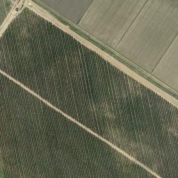 Satellite imagery of survey_point, DZ