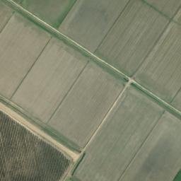 Satellite imagery of survey_point, DZ