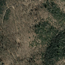 Satellite imagery of Little Black Pine Rough, US