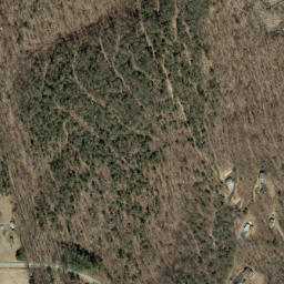 Satellite imagery of Ivy Point Ridge, US