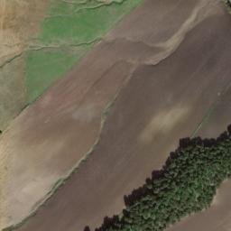 Satellite imagery of survey_point, DZ