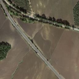 Satellite imagery of survey_point, DZ