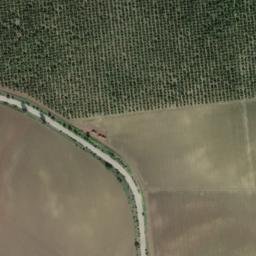 Satellite imagery of survey_point, DZ