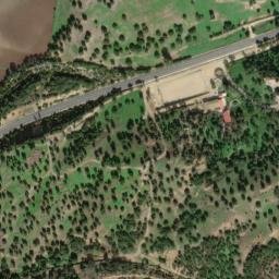 Satellite imagery of survey_point, DZ
