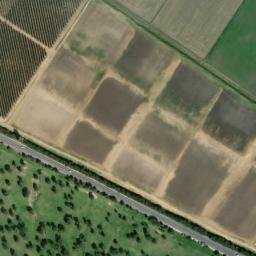 Satellite imagery of survey_point, DZ