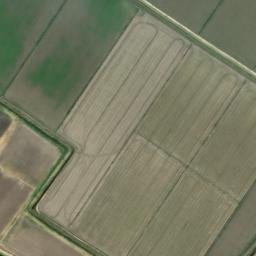 Satellite imagery of survey_point, DZ