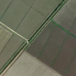 Satellite imagery of survey_point, DZ