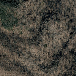 Satellite imagery of Dark Ridge, US