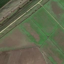 Satellite imagery of survey_point, DZ