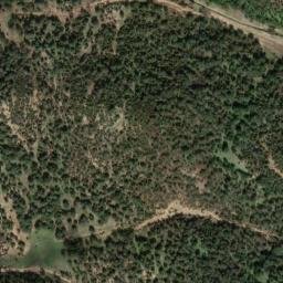 Satellite imagery of survey_point, DZ