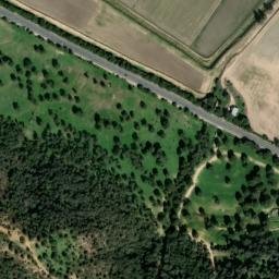 Satellite imagery of survey_point, DZ