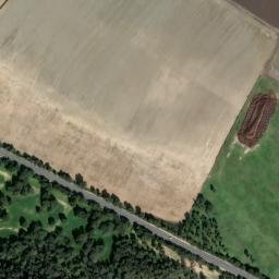 Satellite imagery of survey_point, DZ