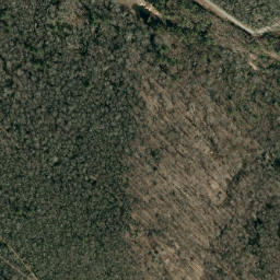 Satellite imagery of Long Ridge, US