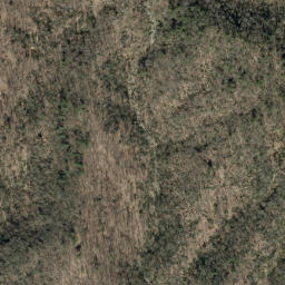 Satellite imagery of East Ridge, US