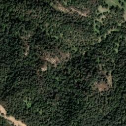 Satellite imagery of survey_point, DZ